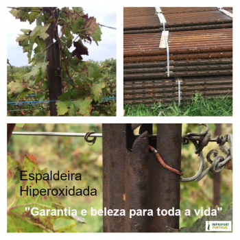 Espaldeirahiperoxidada1